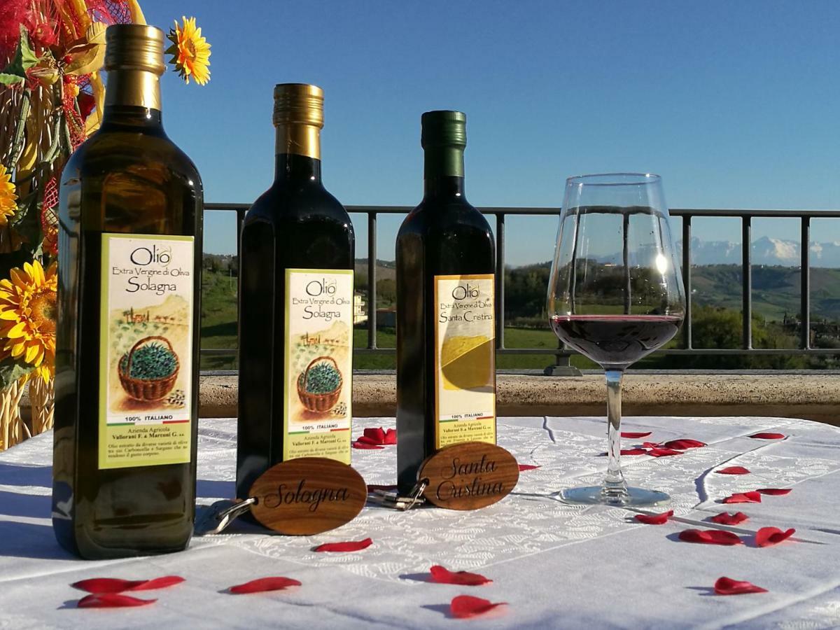 Agriturismo Alla Solagna Colli del Tronto Εξωτερικό φωτογραφία